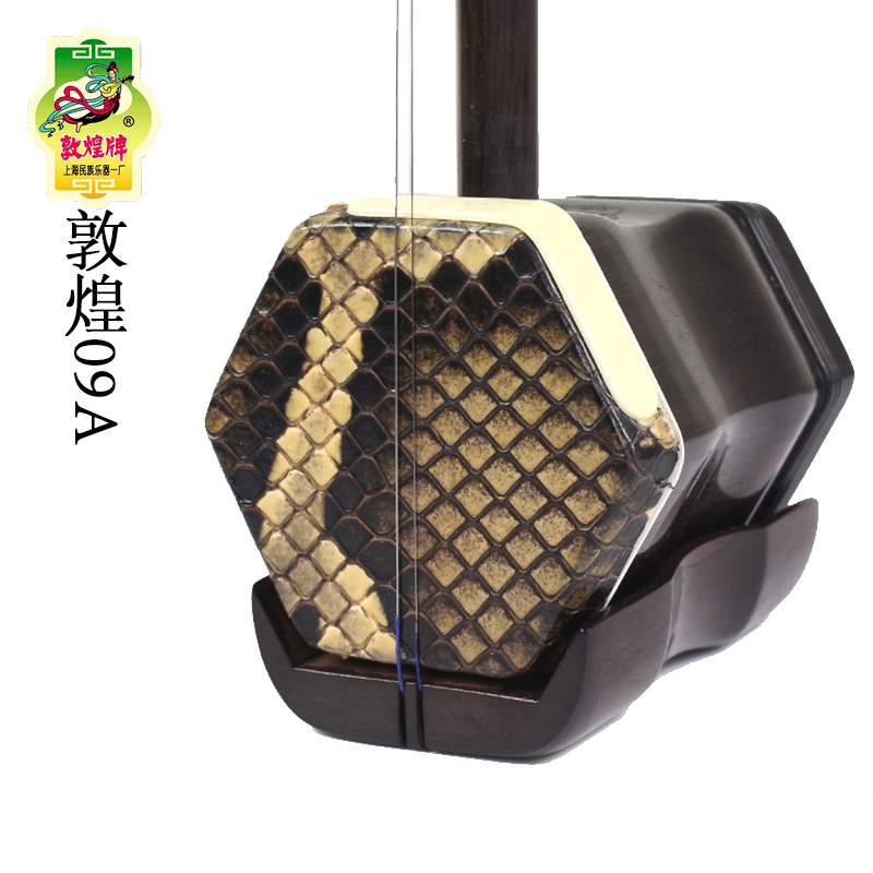 Erhu Violin Chinese - Dunhuang Professional Erhu 09A Chinesische Violine