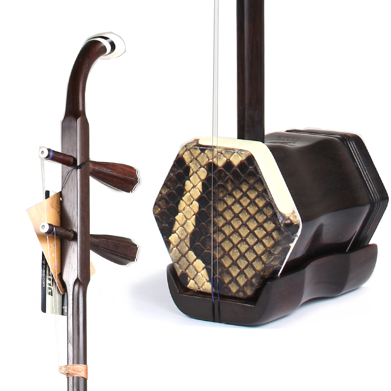 Dunhuang Professional Erhu 09A – Erhu Violin Chinese Bewertung und Preis