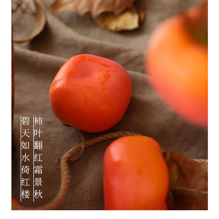 Persimmon-String-Anhänger für  – Musical Instrument Image Bewertung und Preis