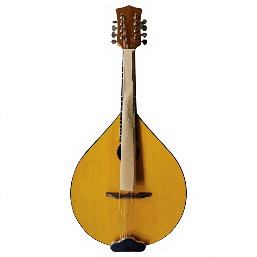 8-Saitiges Akustik-Banjo, Bass – Mandolin A Style Bewertung und Preis